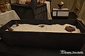 VBS_5279 - Tutankhamon - Viaggio verso l'eternità